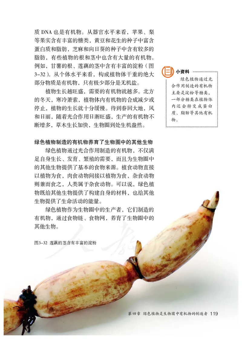 初中一年级上册生物_教资初高中_教资面试2025教资面试备考资料合集_教资面试资料合集_3、教资面试资料包大全_45大圣中小幼面试资料包_初中_生物_初中生物电子课本