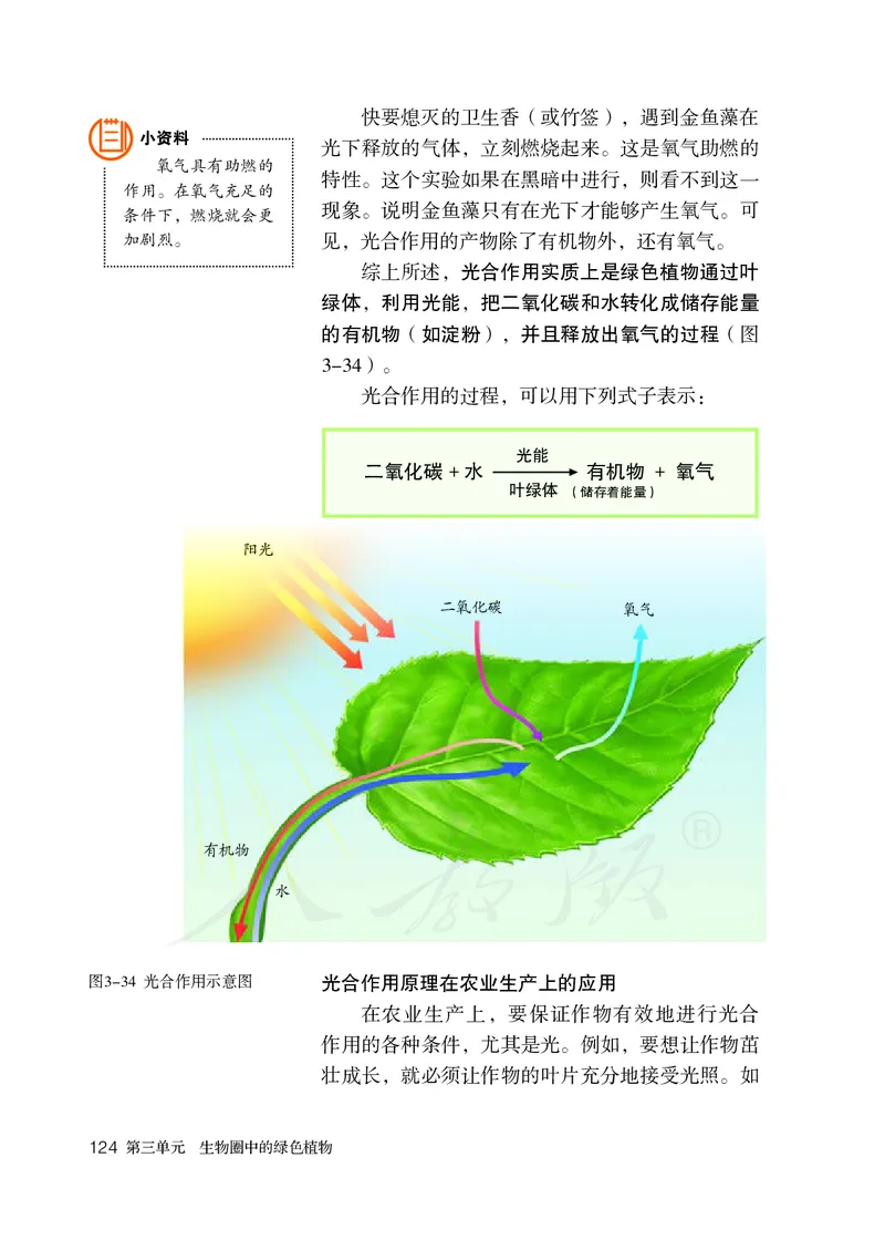 初中一年级上册生物_教资初高中_教资面试2025教资面试备考资料合集_教资面试资料合集_3、教资面试资料包大全_45大圣中小幼面试资料包_初中_生物_初中生物电子课本