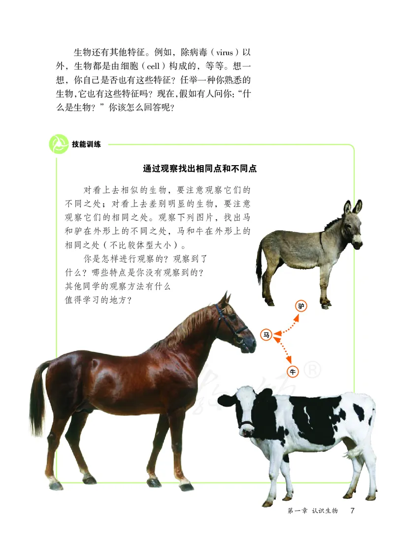 初中一年级上册生物_教资初高中_教资面试2025教资面试备考资料合集_教资面试资料合集_3、教资面试资料包大全_45大圣中小幼面试资料包_初中_生物_初中生物电子课本