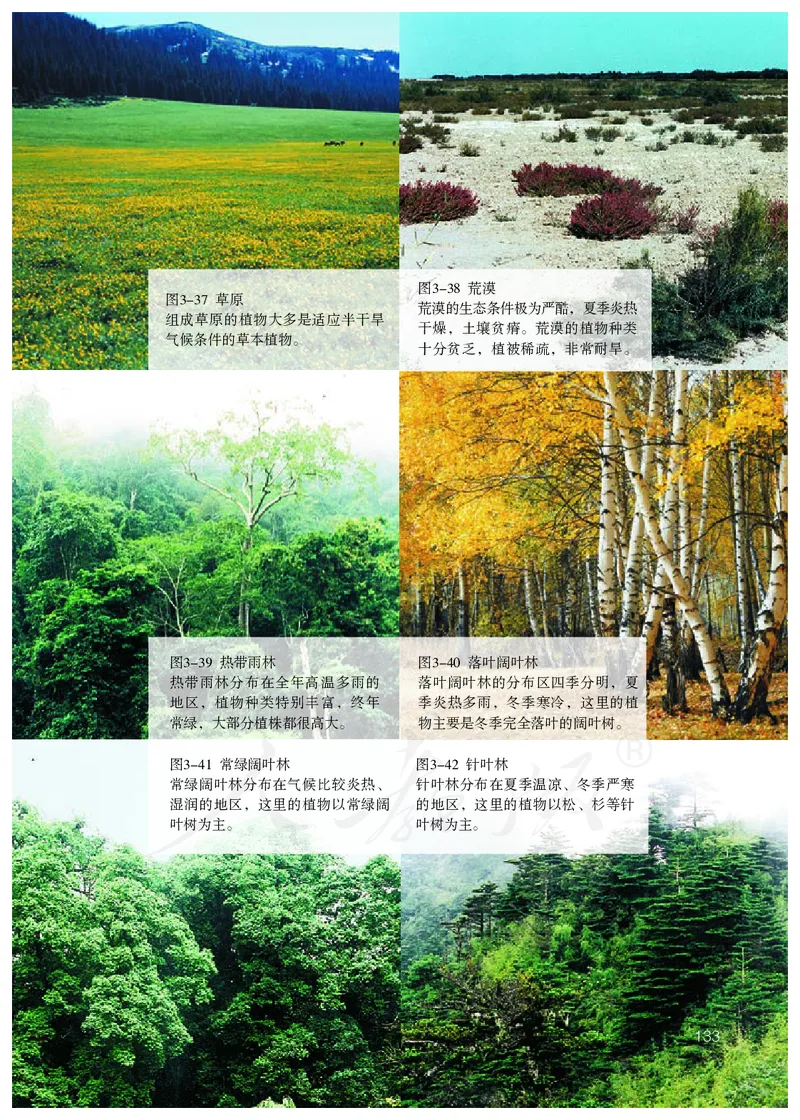 初中一年级上册生物_教资初高中_教资面试2025教资面试备考资料合集_教资面试资料合集_3、教资面试资料包大全_45大圣中小幼面试资料包_初中_生物_初中生物电子课本