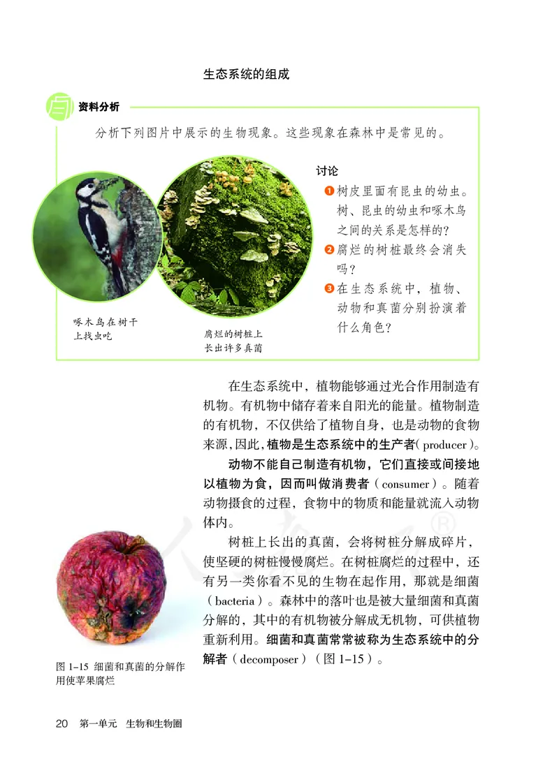初中一年级上册生物_教资初高中_教资面试2025教资面试备考资料合集_教资面试资料合集_3、教资面试资料包大全_45大圣中小幼面试资料包_初中_生物_初中生物电子课本