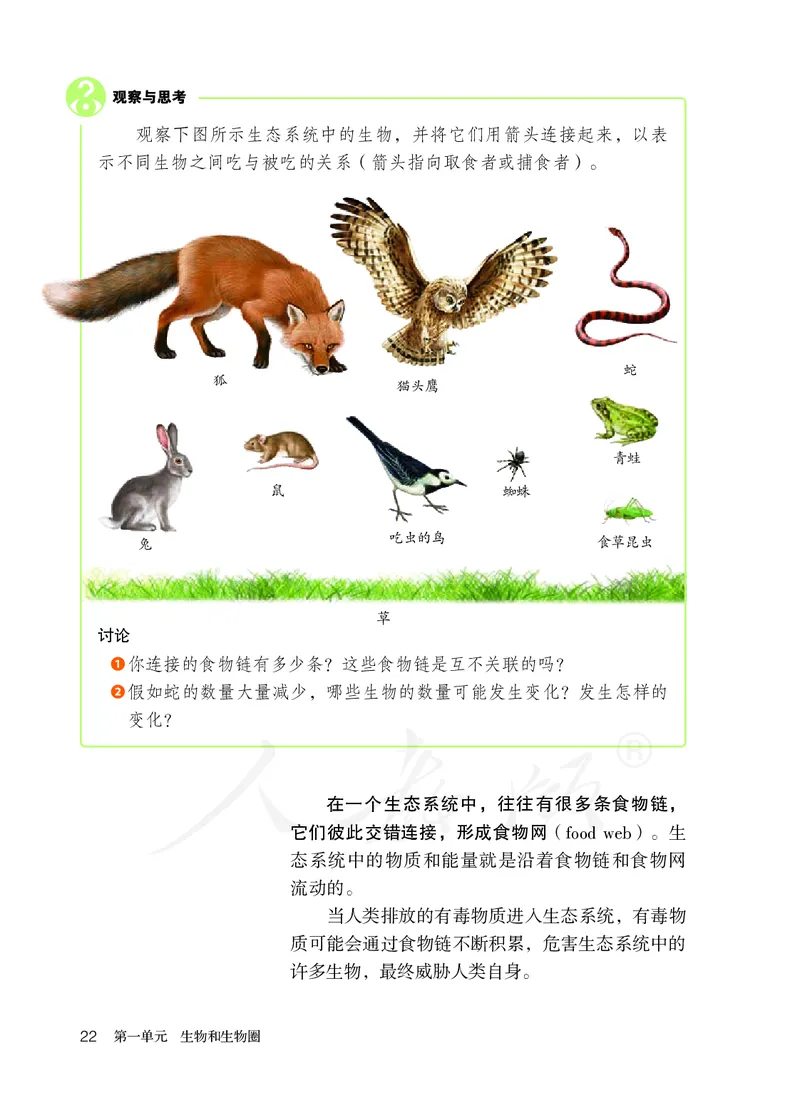 初中一年级上册生物_教资初高中_教资面试2025教资面试备考资料合集_教资面试资料合集_3、教资面试资料包大全_45大圣中小幼面试资料包_初中_生物_初中生物电子课本