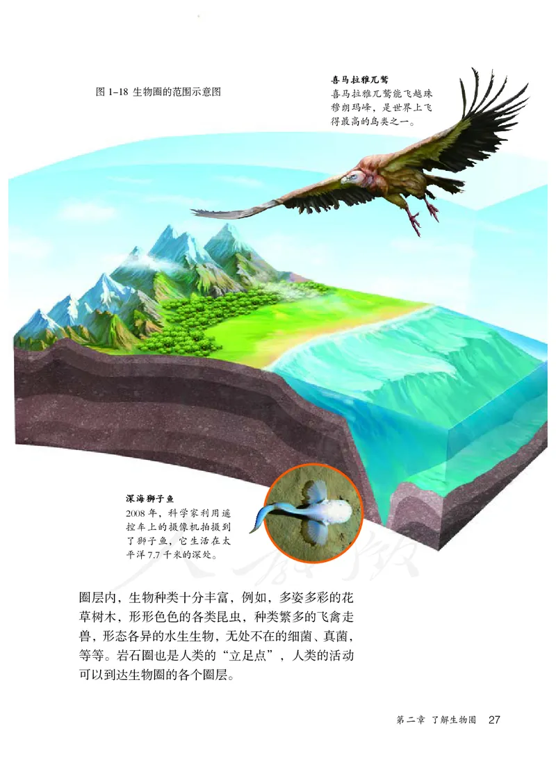 初中一年级上册生物_教资初高中_教资面试2025教资面试备考资料合集_教资面试资料合集_3、教资面试资料包大全_45大圣中小幼面试资料包_初中_生物_初中生物电子课本