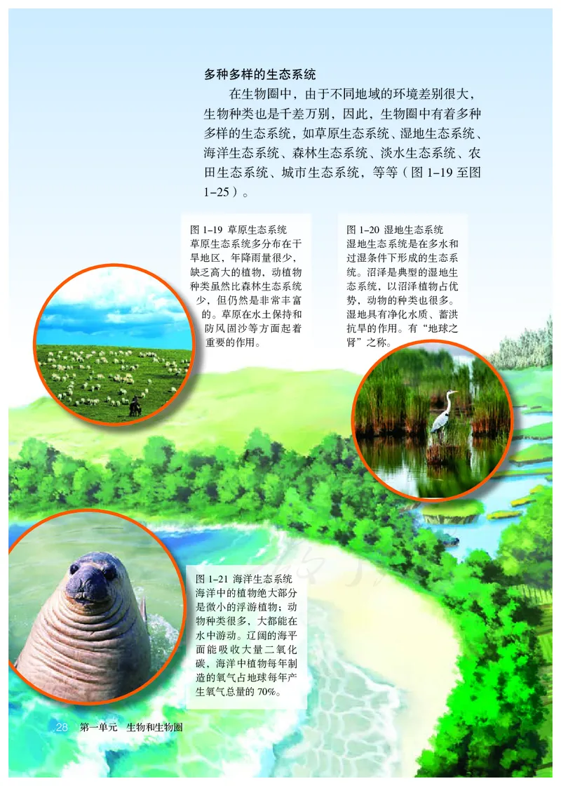 初中一年级上册生物_教资初高中_教资面试2025教资面试备考资料合集_教资面试资料合集_3、教资面试资料包大全_45大圣中小幼面试资料包_初中_生物_初中生物电子课本