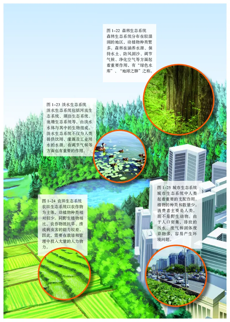 初中一年级上册生物_教资初高中_教资面试2025教资面试备考资料合集_教资面试资料合集_3、教资面试资料包大全_45大圣中小幼面试资料包_初中_生物_初中生物电子课本