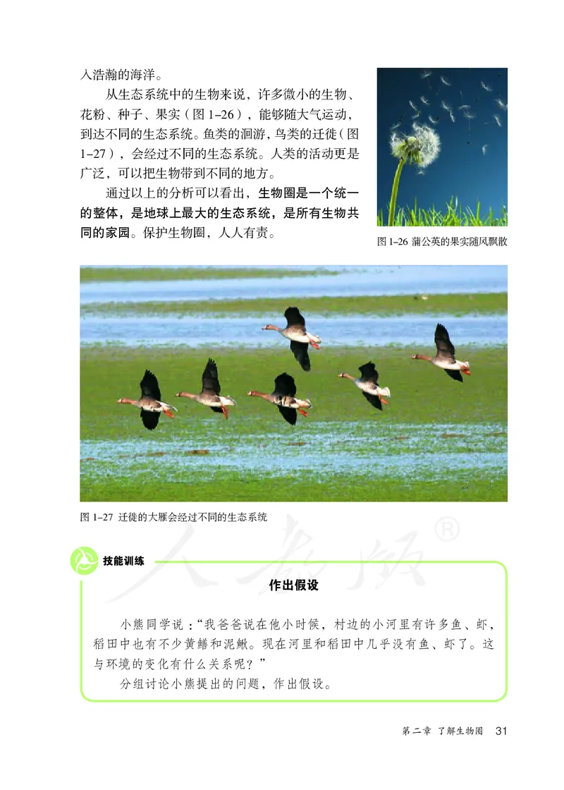 初中一年级上册生物_教资初高中_教资面试2025教资面试备考资料合集_教资面试资料合集_3、教资面试资料包大全_45大圣中小幼面试资料包_初中_生物_初中生物电子课本