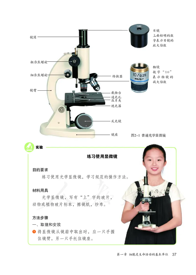 初中一年级上册生物_教资初高中_教资面试2025教资面试备考资料合集_教资面试资料合集_3、教资面试资料包大全_45大圣中小幼面试资料包_初中_生物_初中生物电子课本