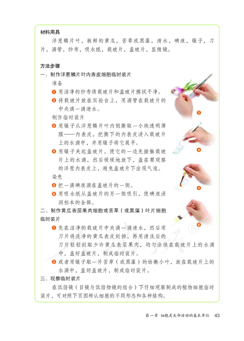 初中一年级上册生物_教资初高中_教资面试2025教资面试备考资料合集_教资面试资料合集_3、教资面试资料包大全_45大圣中小幼面试资料包_初中_生物_初中生物电子课本