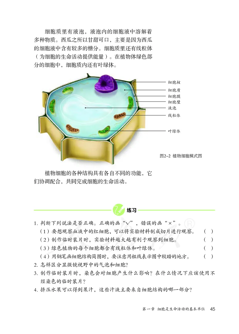 初中一年级上册生物_教资初高中_教资面试2025教资面试备考资料合集_教资面试资料合集_3、教资面试资料包大全_45大圣中小幼面试资料包_初中_生物_初中生物电子课本