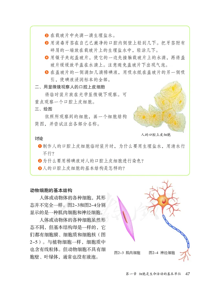 初中一年级上册生物_教资初高中_教资面试2025教资面试备考资料合集_教资面试资料合集_3、教资面试资料包大全_45大圣中小幼面试资料包_初中_生物_初中生物电子课本