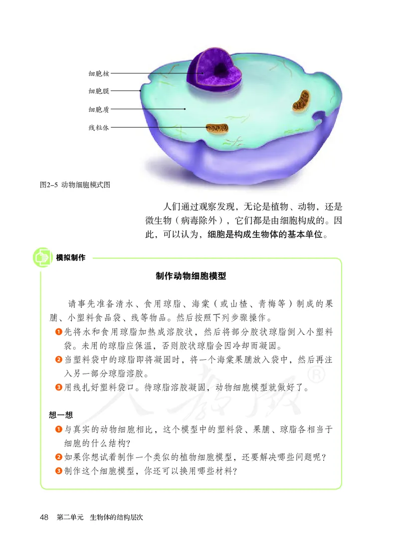 初中一年级上册生物_教资初高中_教资面试2025教资面试备考资料合集_教资面试资料合集_3、教资面试资料包大全_45大圣中小幼面试资料包_初中_生物_初中生物电子课本