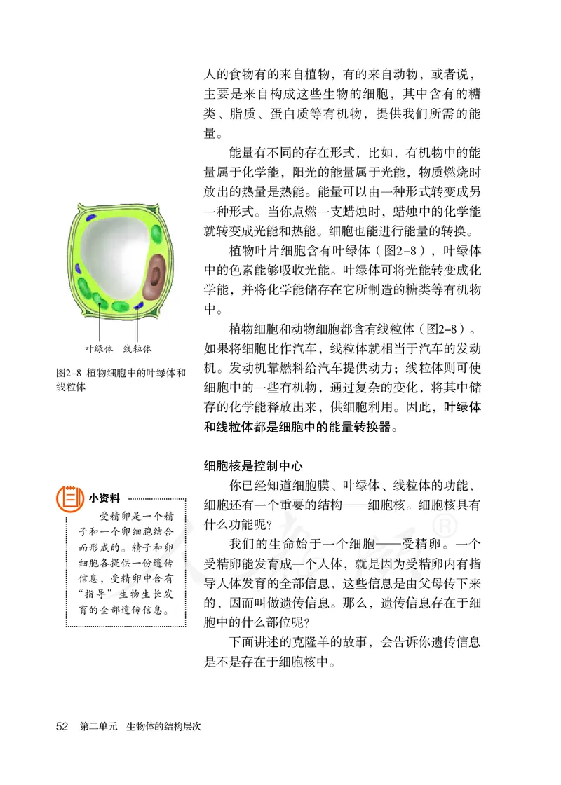 初中一年级上册生物_教资初高中_教资面试2025教资面试备考资料合集_教资面试资料合集_3、教资面试资料包大全_45大圣中小幼面试资料包_初中_生物_初中生物电子课本