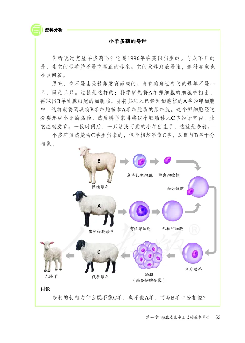 初中一年级上册生物_教资初高中_教资面试2025教资面试备考资料合集_教资面试资料合集_3、教资面试资料包大全_45大圣中小幼面试资料包_初中_生物_初中生物电子课本