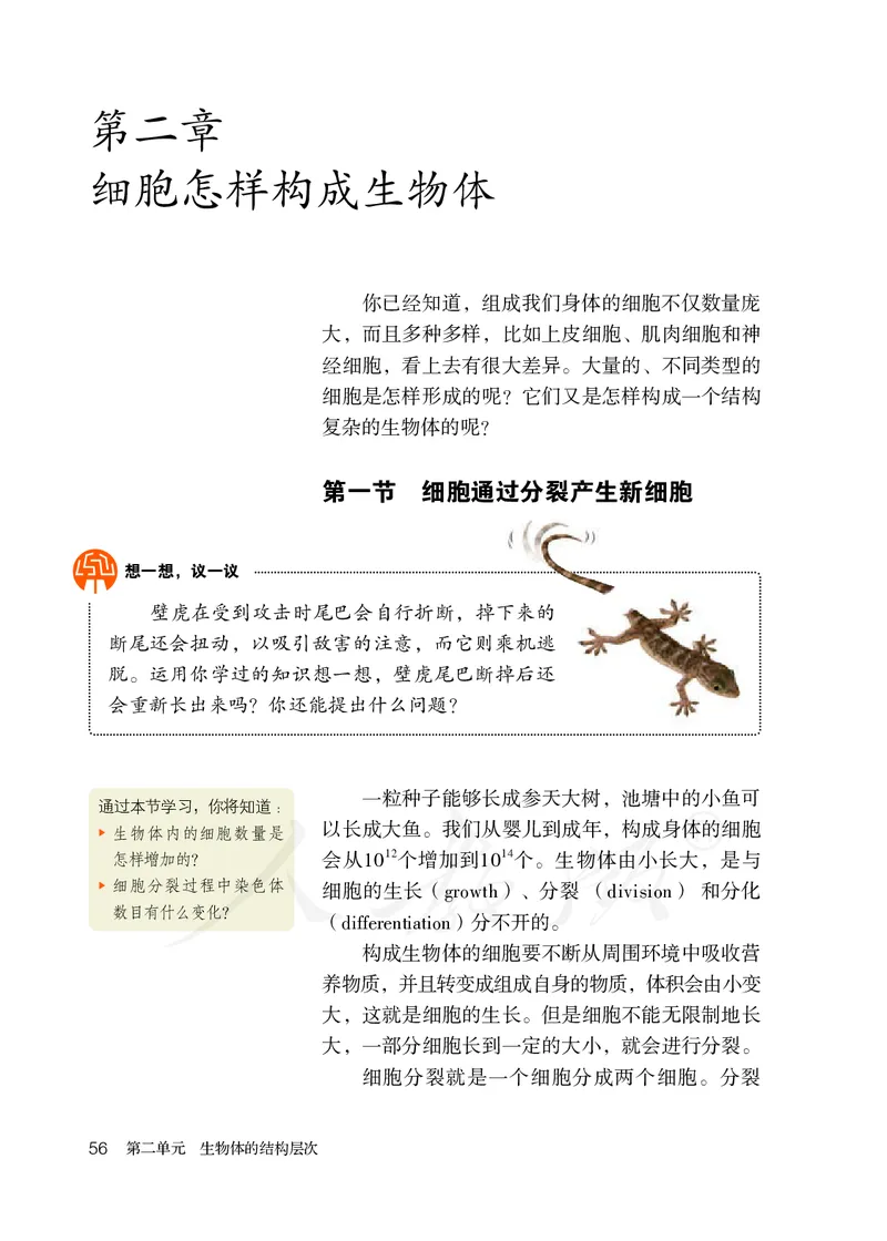 初中一年级上册生物_教资初高中_教资面试2025教资面试备考资料合集_教资面试资料合集_3、教资面试资料包大全_45大圣中小幼面试资料包_初中_生物_初中生物电子课本