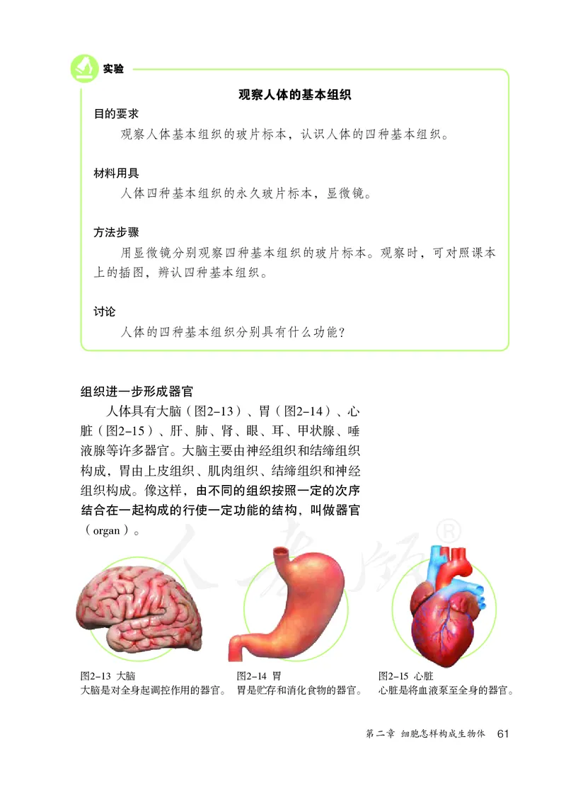 初中一年级上册生物_教资初高中_教资面试2025教资面试备考资料合集_教资面试资料合集_3、教资面试资料包大全_45大圣中小幼面试资料包_初中_生物_初中生物电子课本