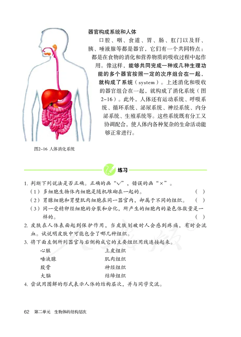 初中一年级上册生物_教资初高中_教资面试2025教资面试备考资料合集_教资面试资料合集_3、教资面试资料包大全_45大圣中小幼面试资料包_初中_生物_初中生物电子课本