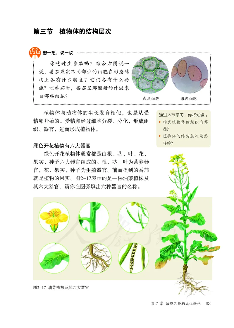 初中一年级上册生物_教资初高中_教资面试2025教资面试备考资料合集_教资面试资料合集_3、教资面试资料包大全_45大圣中小幼面试资料包_初中_生物_初中生物电子课本