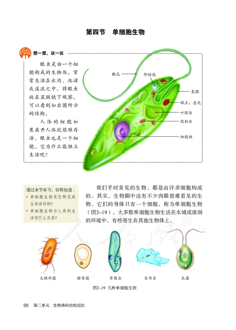 初中一年级上册生物_教资初高中_教资面试2025教资面试备考资料合集_教资面试资料合集_3、教资面试资料包大全_45大圣中小幼面试资料包_初中_生物_初中生物电子课本
