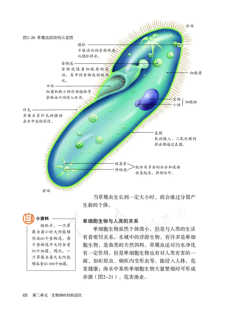 初中一年级上册生物_教资初高中_教资面试2025教资面试备考资料合集_教资面试资料合集_3、教资面试资料包大全_45大圣中小幼面试资料包_初中_生物_初中生物电子课本