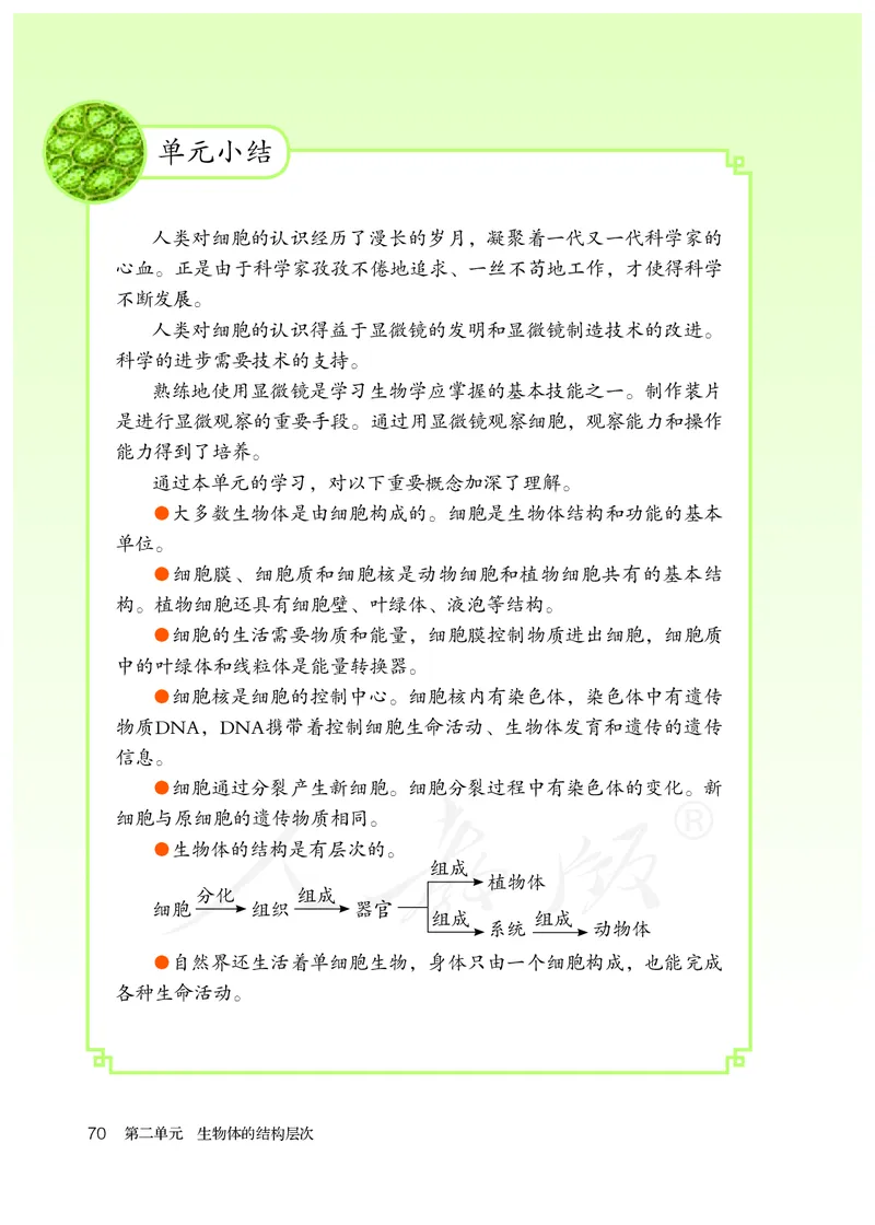 初中一年级上册生物_教资初高中_教资面试2025教资面试备考资料合集_教资面试资料合集_3、教资面试资料包大全_45大圣中小幼面试资料包_初中_生物_初中生物电子课本