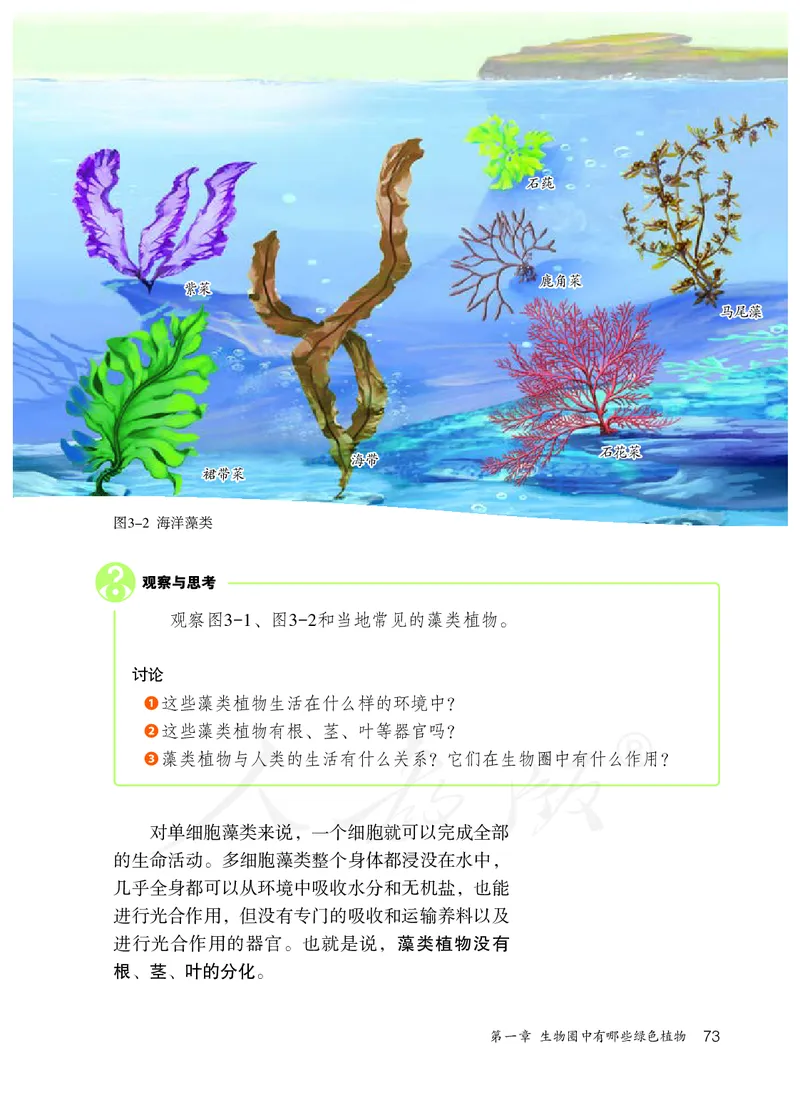 初中一年级上册生物_教资初高中_教资面试2025教资面试备考资料合集_教资面试资料合集_3、教资面试资料包大全_45大圣中小幼面试资料包_初中_生物_初中生物电子课本