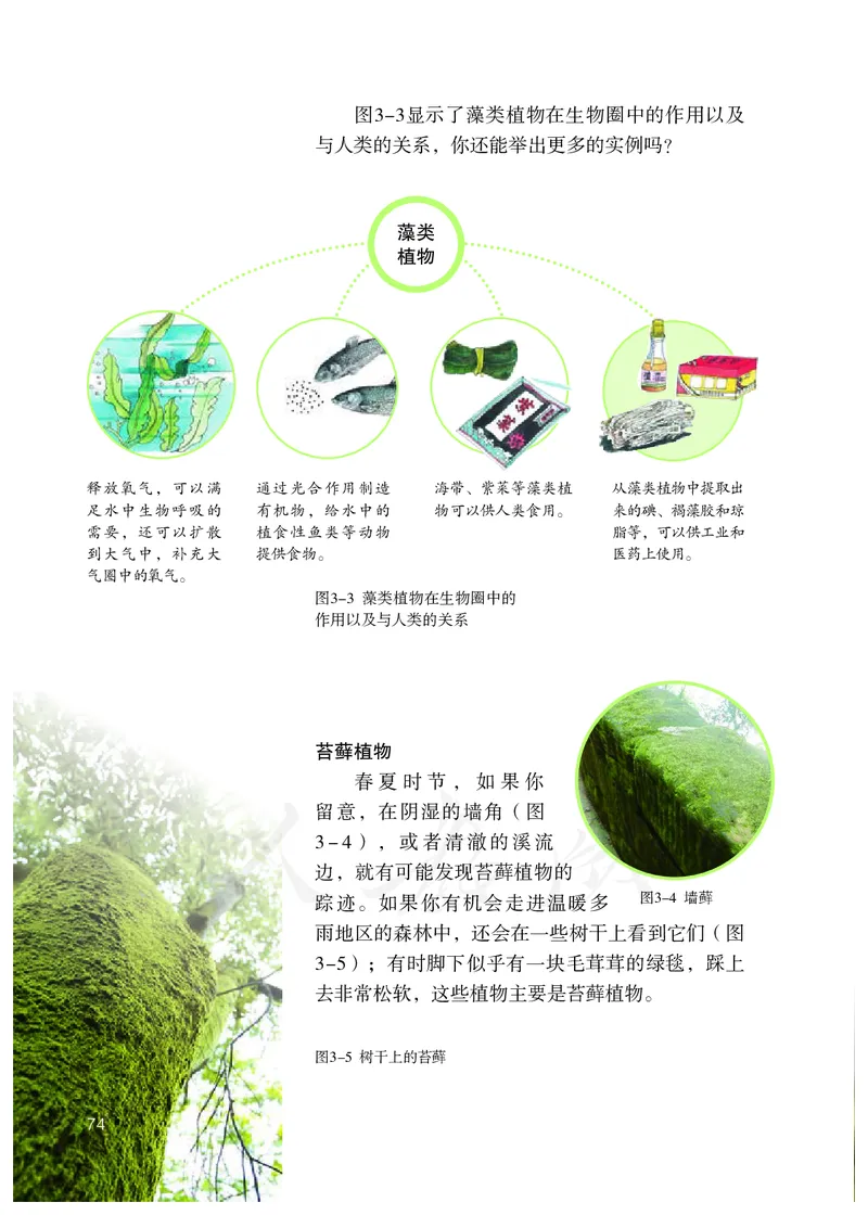 初中一年级上册生物_教资初高中_教资面试2025教资面试备考资料合集_教资面试资料合集_3、教资面试资料包大全_45大圣中小幼面试资料包_初中_生物_初中生物电子课本