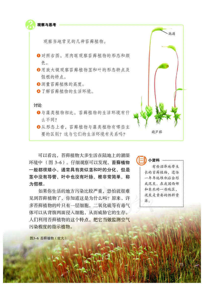 初中一年级上册生物_教资初高中_教资面试2025教资面试备考资料合集_教资面试资料合集_3、教资面试资料包大全_45大圣中小幼面试资料包_初中_生物_初中生物电子课本