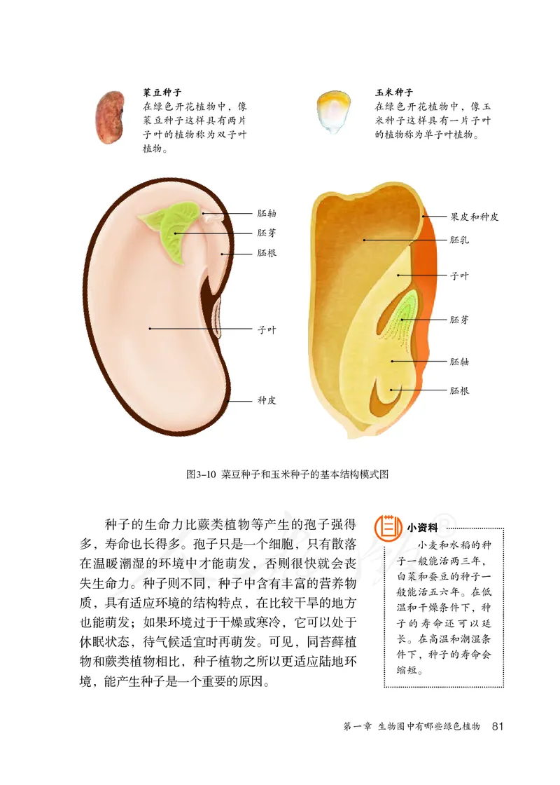 初中一年级上册生物_教资初高中_教资面试2025教资面试备考资料合集_教资面试资料合集_3、教资面试资料包大全_45大圣中小幼面试资料包_初中_生物_初中生物电子课本