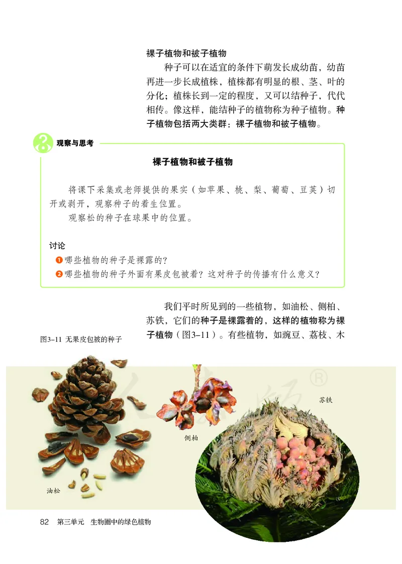 初中一年级上册生物_教资初高中_教资面试2025教资面试备考资料合集_教资面试资料合集_3、教资面试资料包大全_45大圣中小幼面试资料包_初中_生物_初中生物电子课本