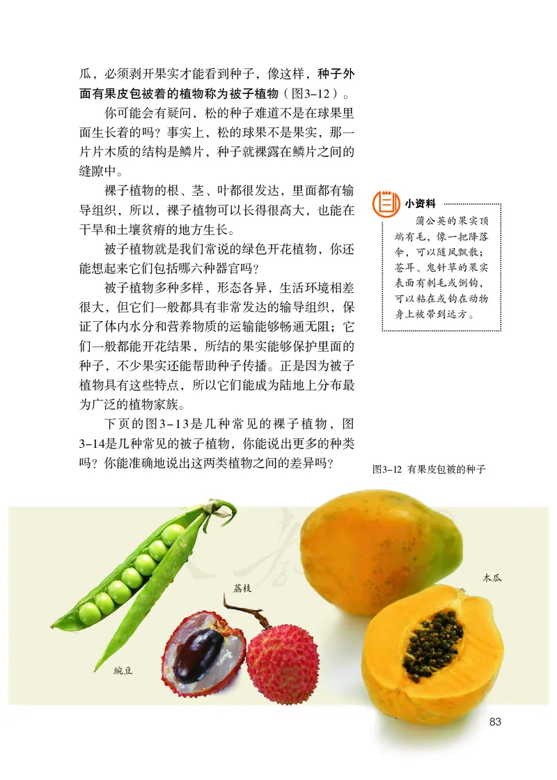 初中一年级上册生物_教资初高中_教资面试2025教资面试备考资料合集_教资面试资料合集_3、教资面试资料包大全_45大圣中小幼面试资料包_初中_生物_初中生物电子课本