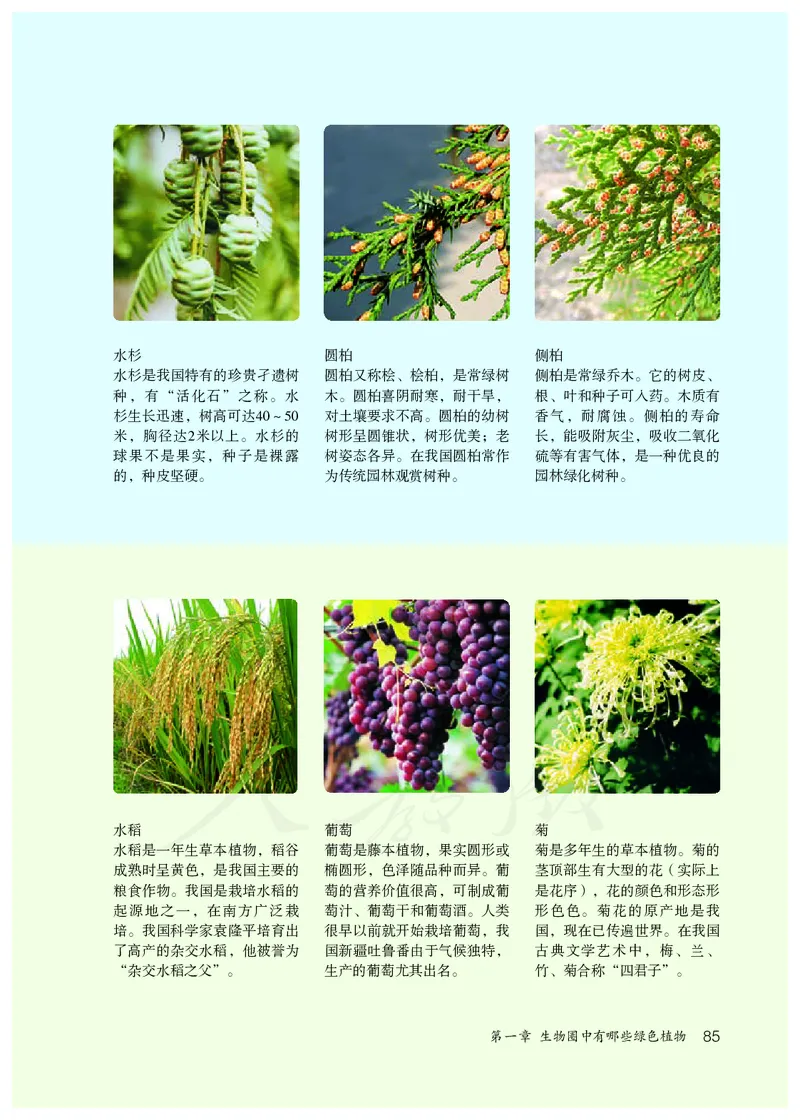 初中一年级上册生物_教资初高中_教资面试2025教资面试备考资料合集_教资面试资料合集_3、教资面试资料包大全_45大圣中小幼面试资料包_初中_生物_初中生物电子课本