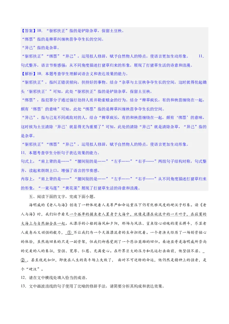专题26语言的表达效果类新题型（练习）-2024年高考语文二轮复习讲练测（新教材新高考）(解析版)(1)_1.2025语文总复习_2024年新高考资料_2.2024二轮复习