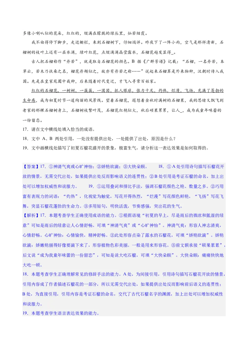 专题26语言的表达效果类新题型（练习）-2024年高考语文二轮复习讲练测（新教材新高考）(解析版)(1)_1.2025语文总复习_2024年新高考资料_2.2024二轮复习