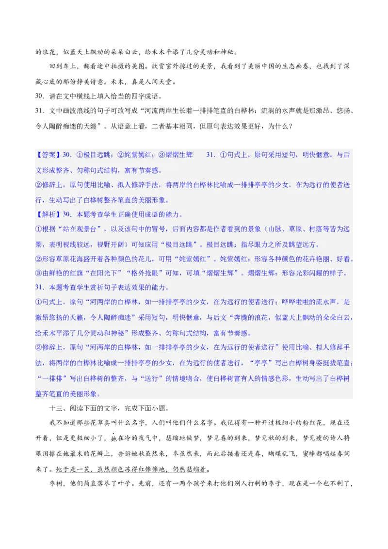 专题26语言的表达效果类新题型（练习）-2024年高考语文二轮复习讲练测（新教材新高考）(解析版)(1)_1.2025语文总复习_2024年新高考资料_2.2024二轮复习