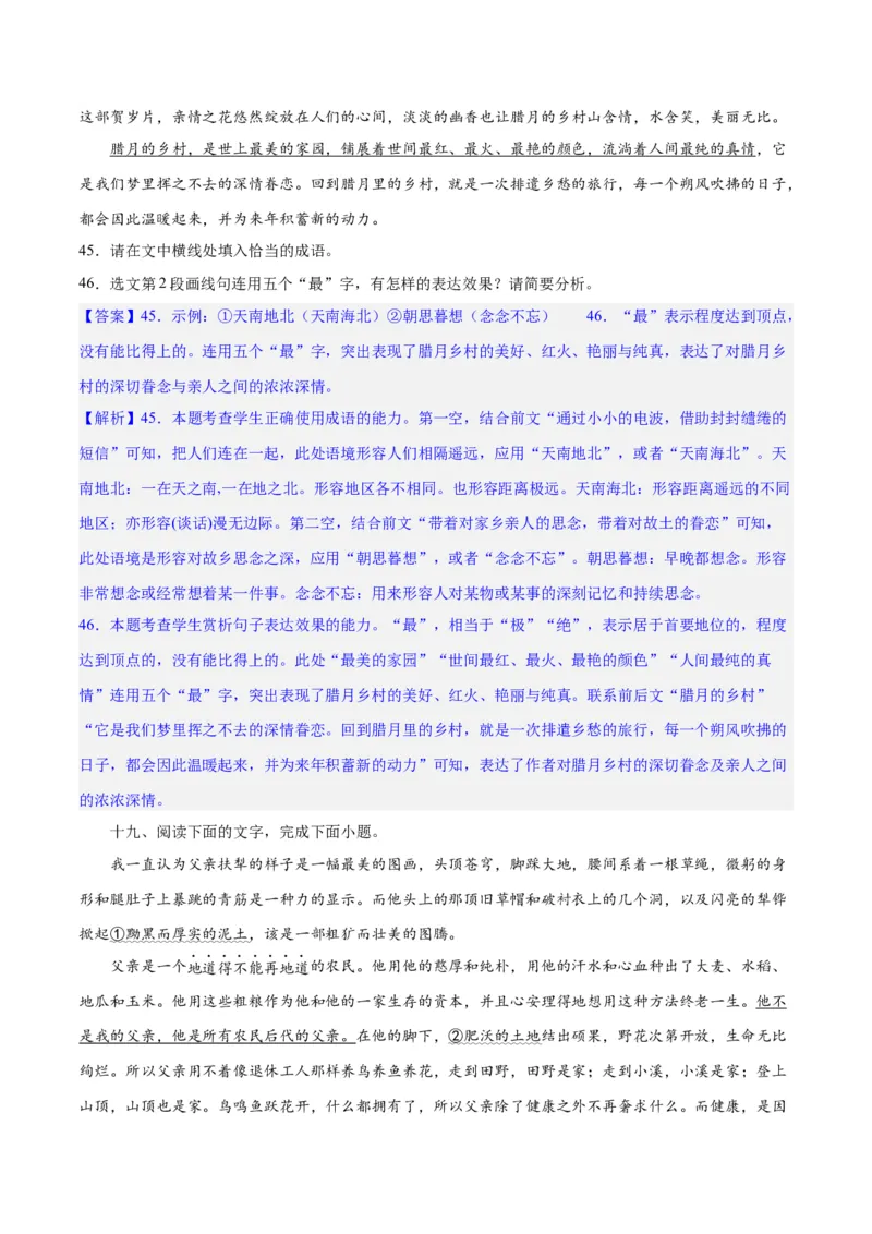 专题26语言的表达效果类新题型（练习）-2024年高考语文二轮复习讲练测（新教材新高考）(解析版)(1)_1.2025语文总复习_2024年新高考资料_2.2024二轮复习