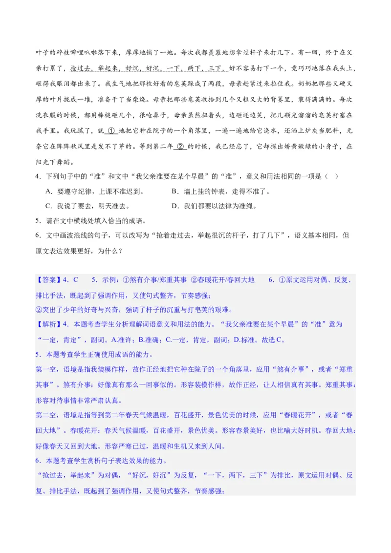 专题26语言的表达效果类新题型（练习）-2024年高考语文二轮复习讲练测（新教材新高考）(解析版)(1)_1.2025语文总复习_2024年新高考资料_2.2024二轮复习