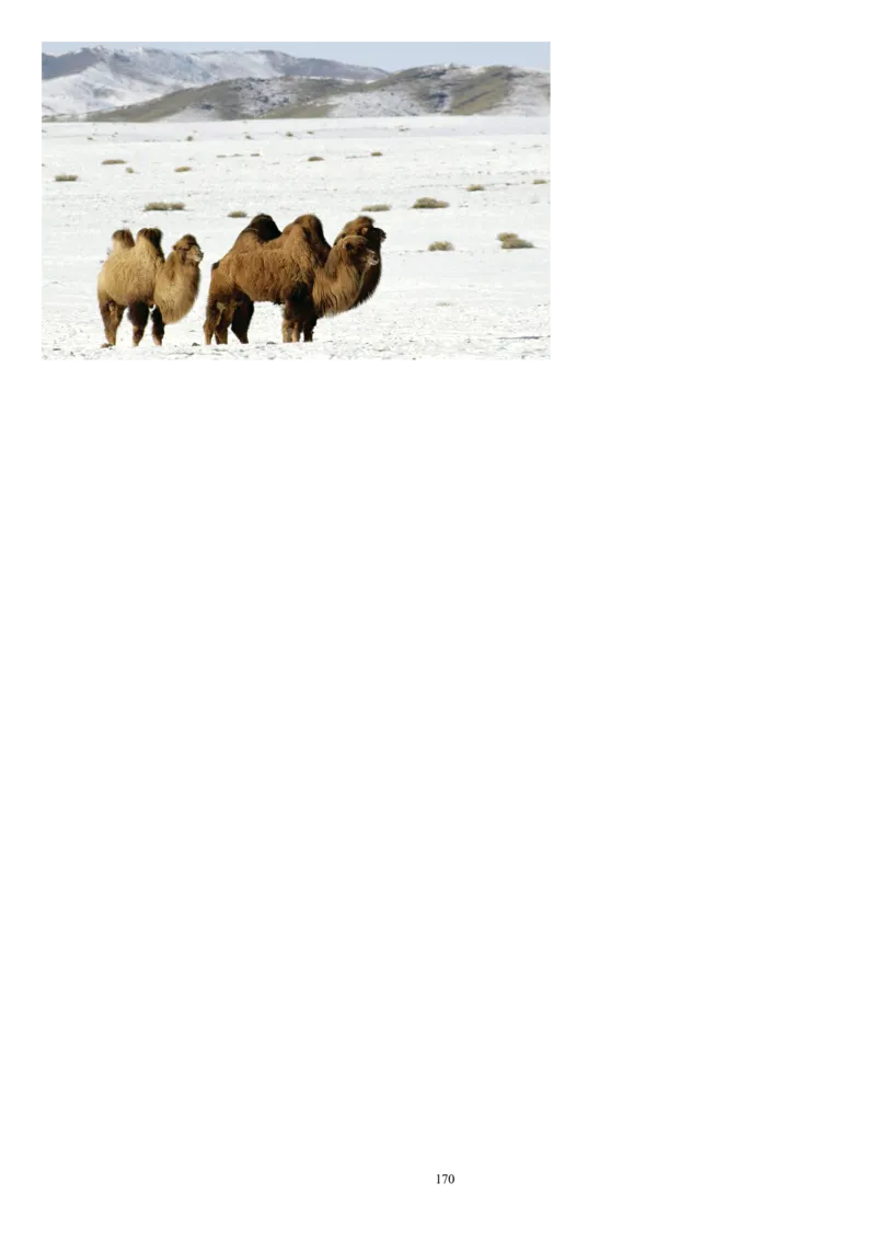 五下_教资初高中_教资面试2025教资面试备考资料合集_教资面试资料合集_2025教资面试资料_25上教资面试中学合集_教资面试逐字稿_补充文件夹_人教版_小学语文说课稿