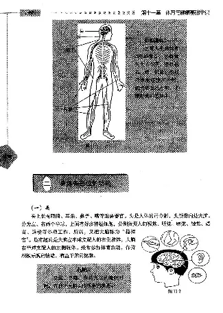 三四年级体育课本教师用书(1)_教资初高中_教资面试2025教资面试备考资料合集_教资面试资料合集_2025教资面试资料_25上教资面试-小学资料包_20教材：全册_小学_小学体育