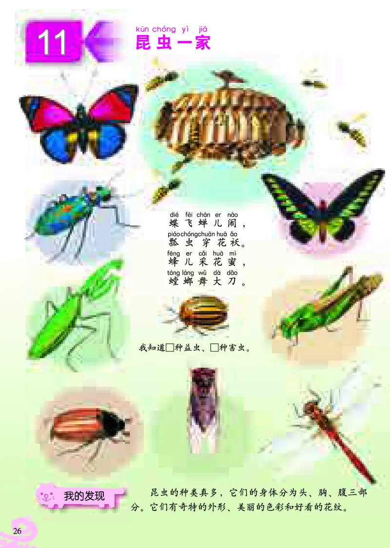 《小学一年级上册美术》（人美版-杨力）_教资初高中_教资面试2025教资面试备考资料合集_教资面试资料合集_3、教资面试资料包大全_45大圣中小幼面试资料包_小学_美术_电子课本