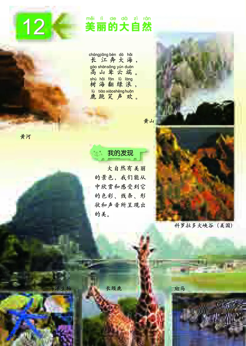 《小学一年级上册美术》（人美版-杨力）_教资初高中_教资面试2025教资面试备考资料合集_教资面试资料合集_3、教资面试资料包大全_45大圣中小幼面试资料包_小学_美术_电子课本