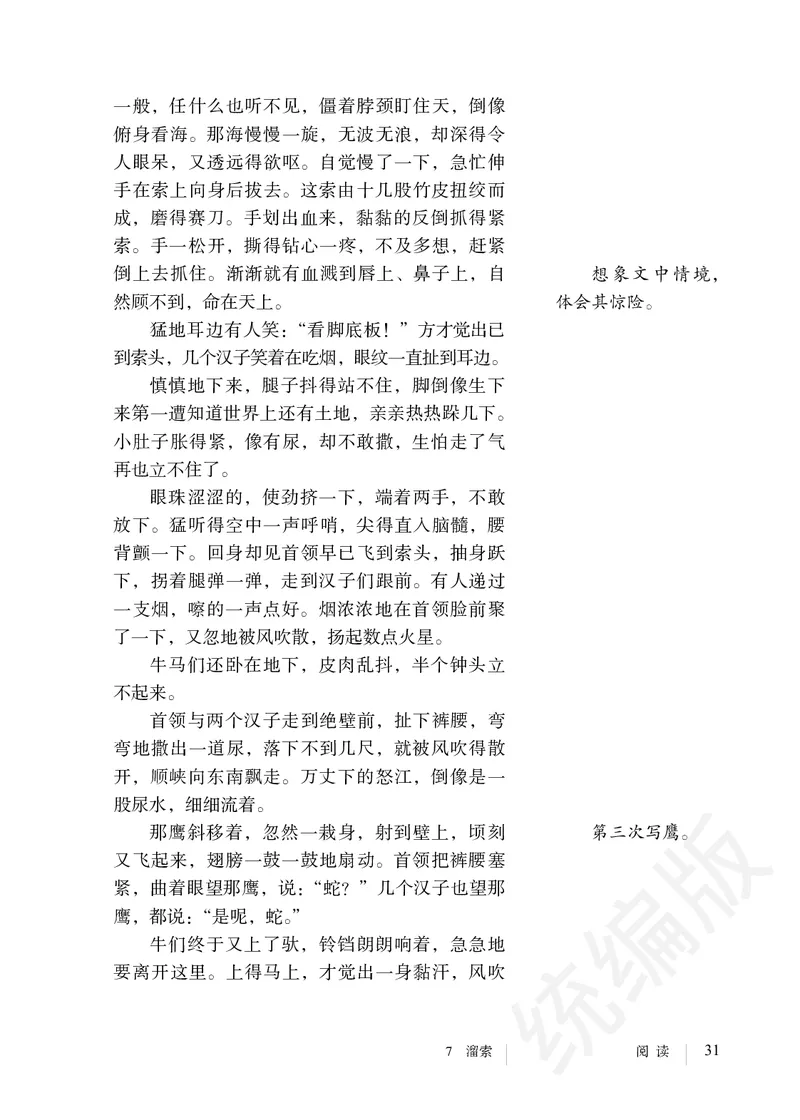 初中九年级下册语文_教资初高中_教资面试2025教资面试备考资料合集_教资面试资料合集_3、教资面试资料包大全_45大圣中小幼面试资料包_初中_语文_初中语文电子课本