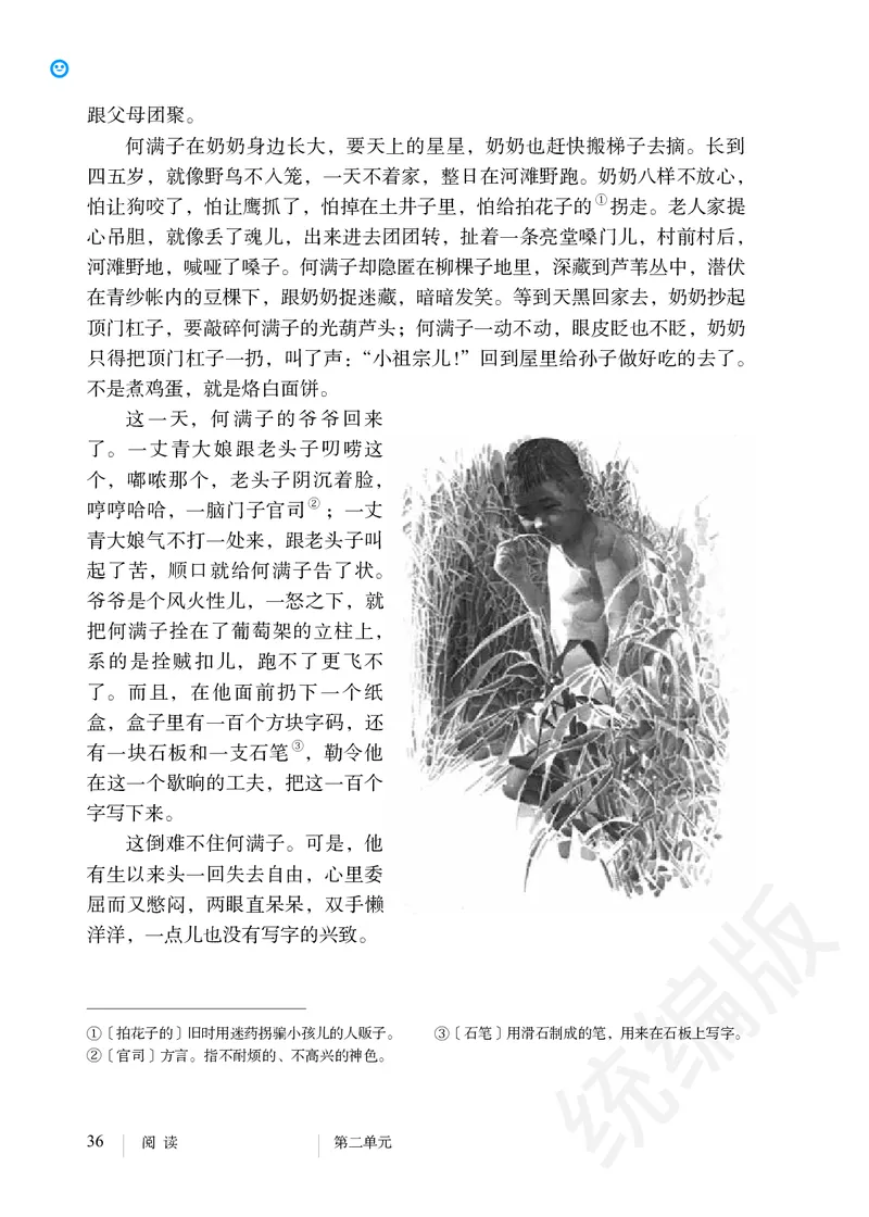 初中九年级下册语文_教资初高中_教资面试2025教资面试备考资料合集_教资面试资料合集_3、教资面试资料包大全_45大圣中小幼面试资料包_初中_语文_初中语文电子课本