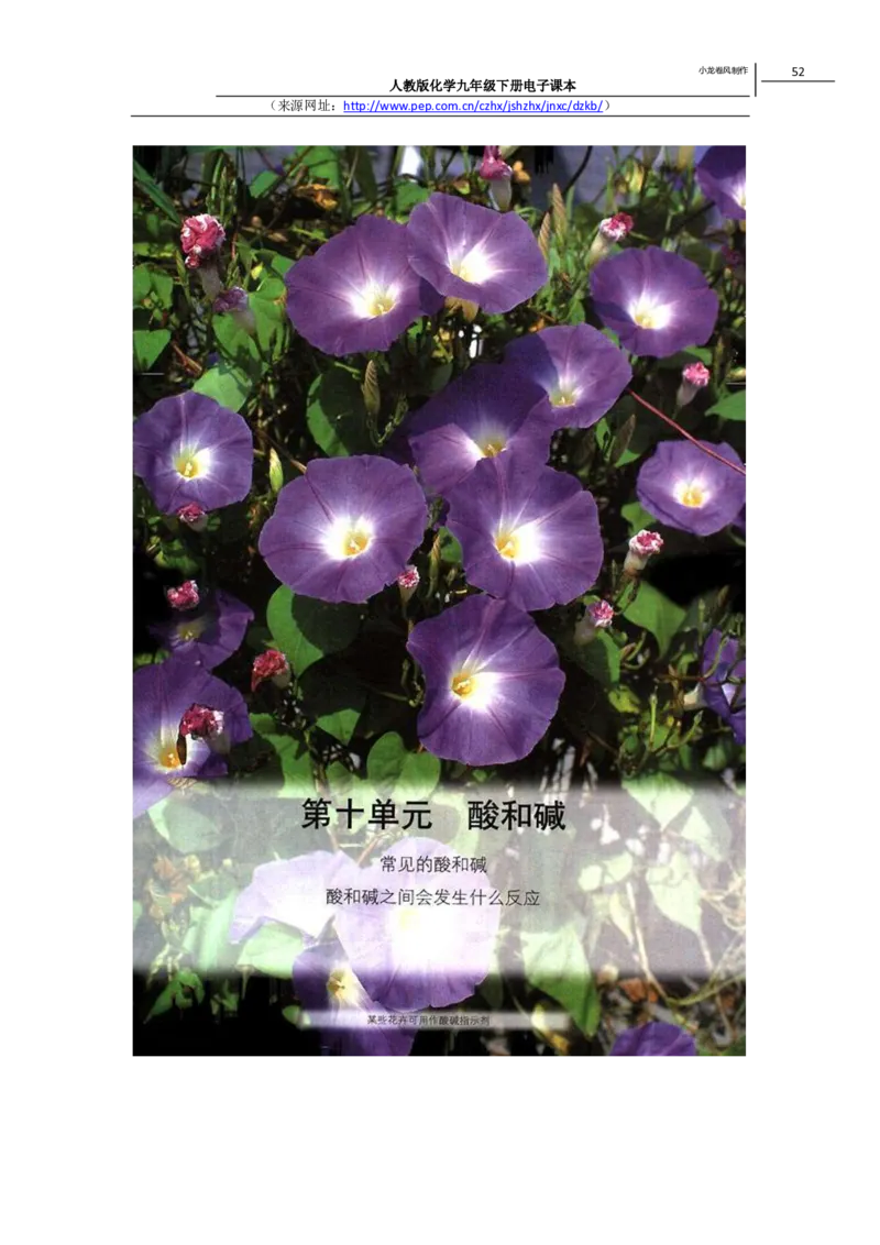 人教版化学九年级下册电子课本(1)_教资初高中_教资面试2025教资面试备考资料合集_教资面试资料合集_2025教资面试资料_25上教资面试-小学资料包_20教材：全册_初中_初中化学