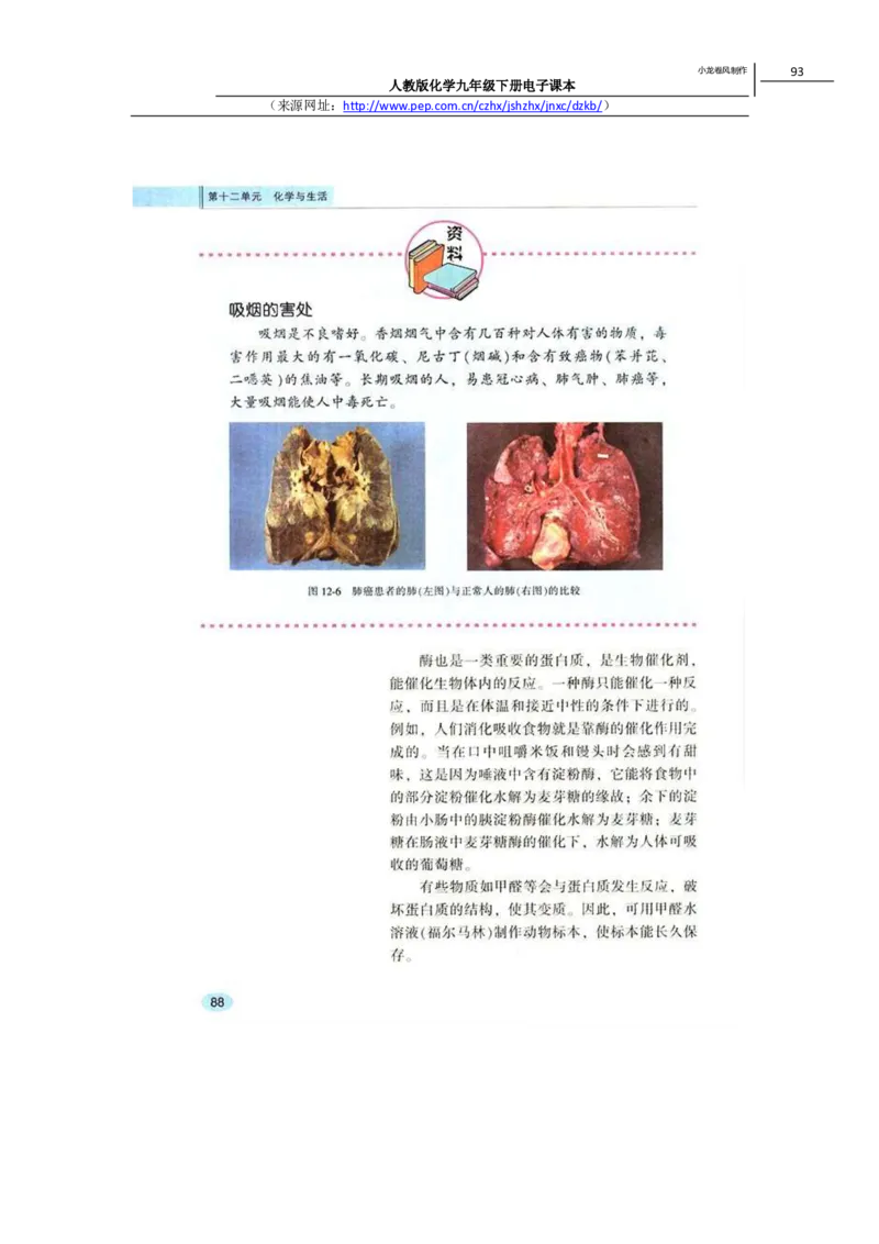 人教版化学九年级下册电子课本(1)_教资初高中_教资面试2025教资面试备考资料合集_教资面试资料合集_2025教资面试资料_25上教资面试-小学资料包_20教材：全册_初中_初中化学