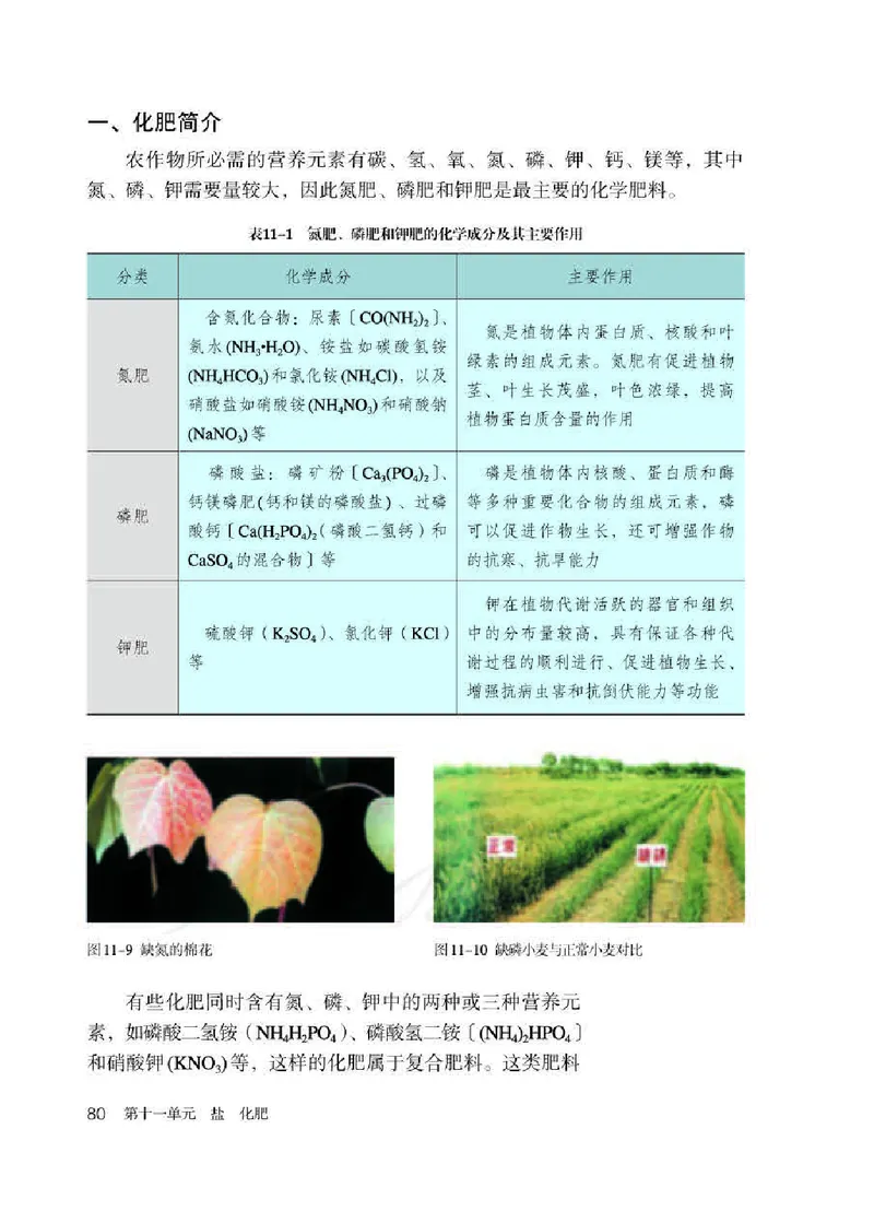 初中三年级下册化学（人教版）_教资初高中_教资面试2025教资面试备考资料合集_教资面试资料合集_3、教资面试资料包大全_45大圣中小幼面试资料包_初中_化学_初中化学电子课本