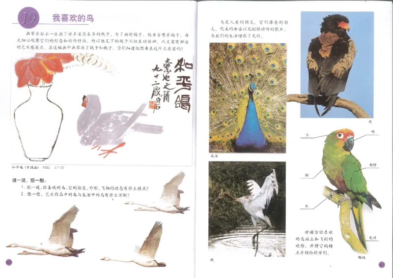 人美版小学美术二年级下册(1)_教资初高中_教资面试2025教资面试备考资料合集_教资面试资料合集_2025教资面试资料_25上教资面试-小学资料包_20教材：全册_小学_小学美术