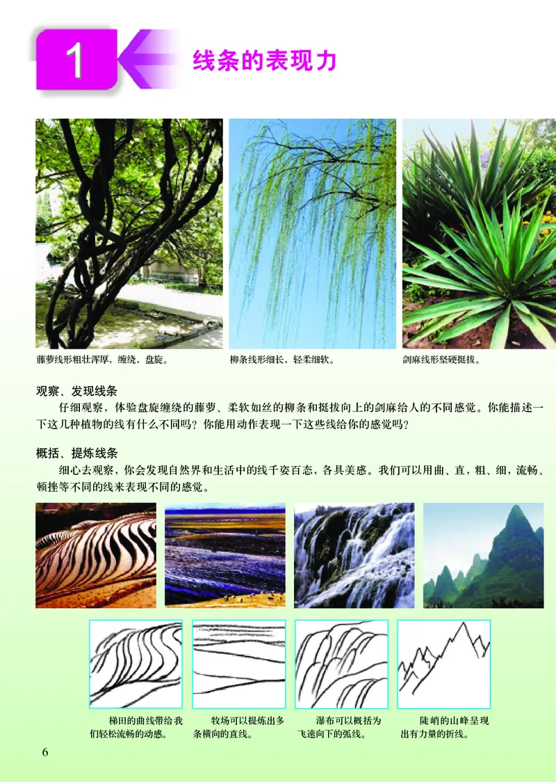 初中七年级上册美术（人美版-杨力）_教资初高中_教资面试2025教资面试备考资料合集_教资面试资料合集_3、教资面试资料包大全_45大圣中小幼面试资料包_初中_美术