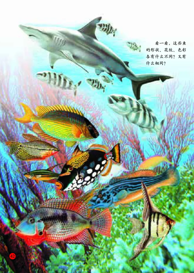 小学一年级上册美术_教资初高中_教资面试2025教资面试备考资料合集_教资面试资料合集_3、教资面试资料包大全_45大圣中小幼面试资料包_小学_美术_电子课本_小学美术-常锐伦