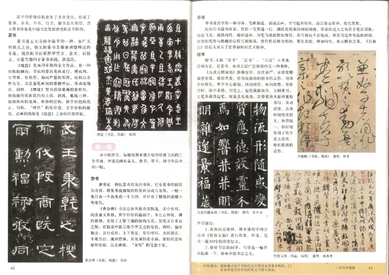 人美版初中美术八年级上册(1)_教资初高中_教资面试2025教资面试备考资料合集_教资面试资料合集_2025教资面试资料_25上教资面试-小学资料包_20教材：全册_初中_初中美术