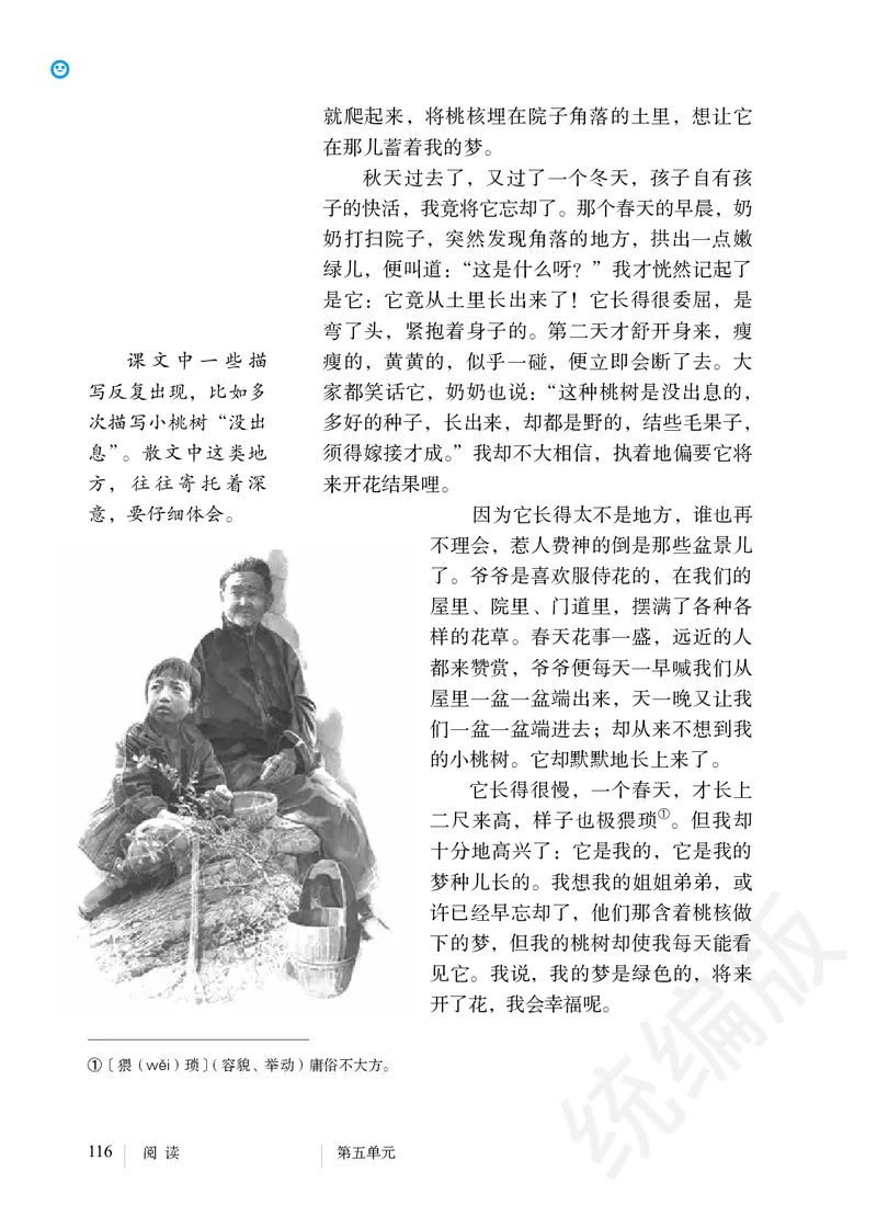 初中七年级下册语文_教资初高中_教资面试2025教资面试备考资料合集_教资面试资料合集_3、教资面试资料包大全_45大圣中小幼面试资料包_初中_语文_初中语文电子课本